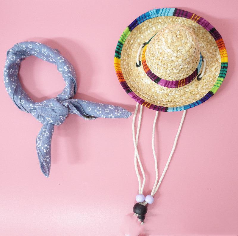 Summer Adventure Pet Accessory Set