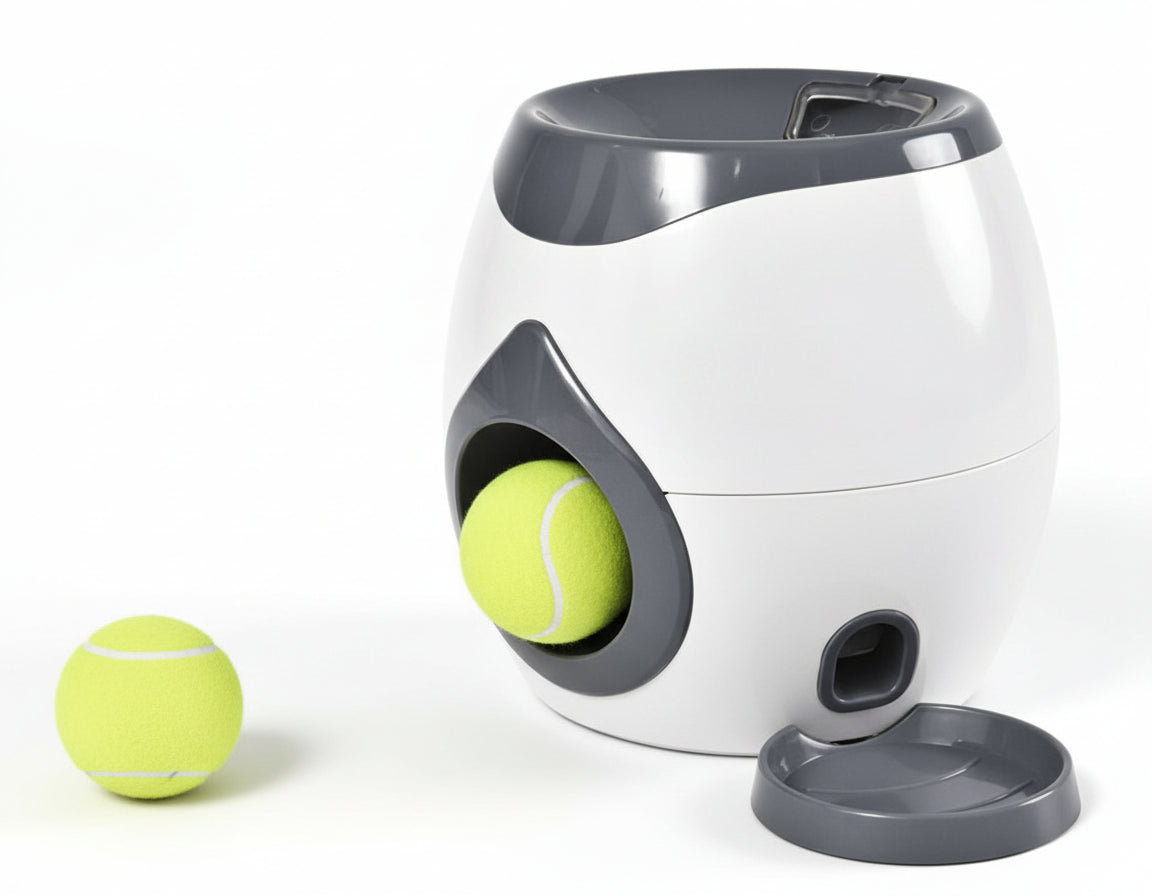 Automatic Pet Training And Feeding System